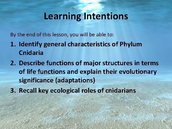 Learning Intentions By the end of this lesson, you will be able to: 1.