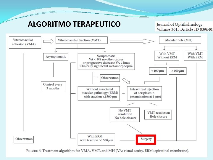 ALGORITMO TERAPEUTICO 