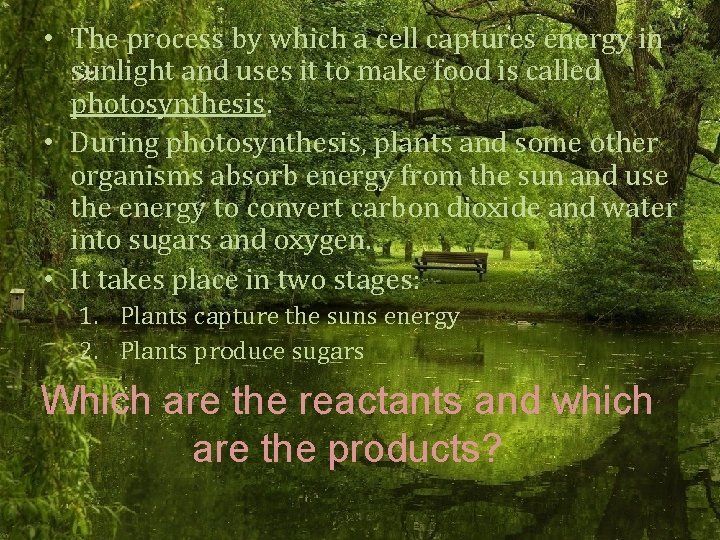  • The process by which a cell captures energy in sunlight and uses