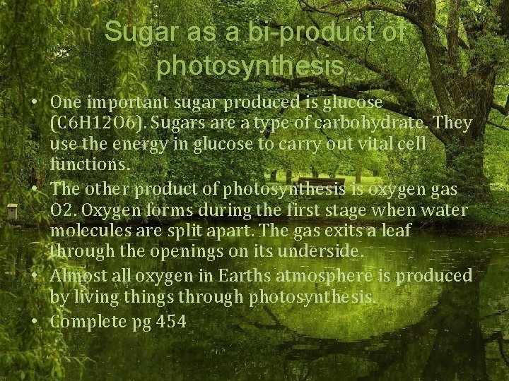 Sugar as a bi-product of photosynthesis. • One important sugar produced is glucose (C