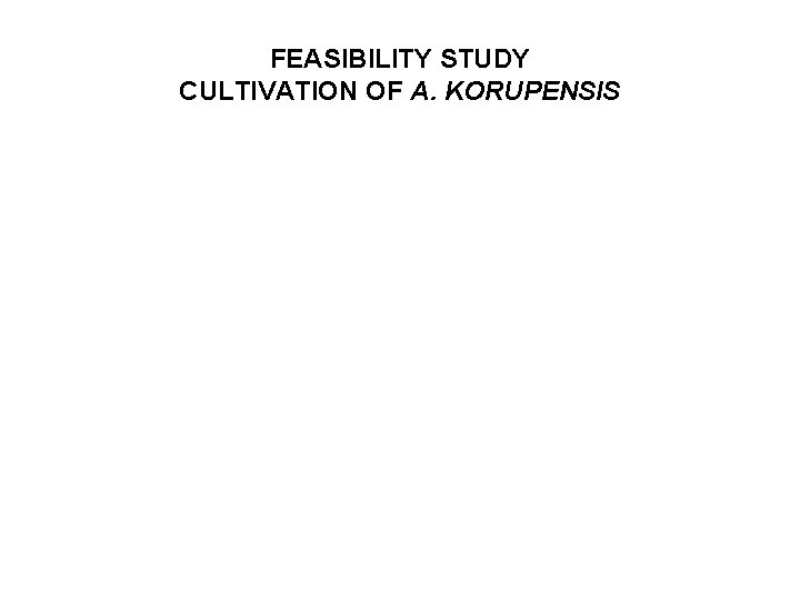 FEASIBILITY STUDY CULTIVATION OF A. KORUPENSIS 