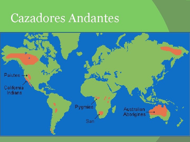 Cazadores Andantes 