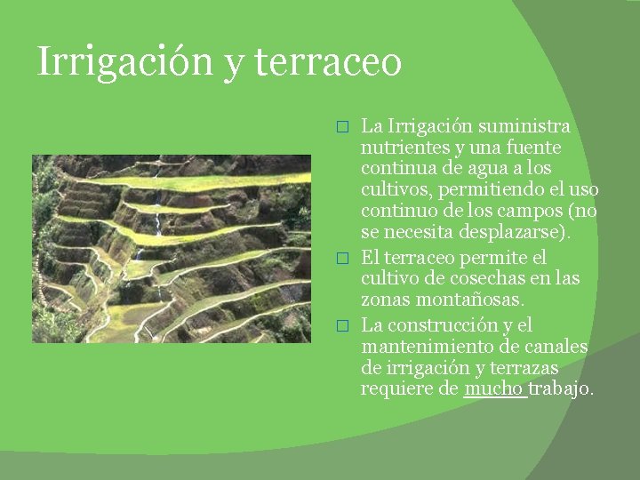 Irrigación y terraceo La Irrigación suministra nutrientes y una fuente continua de agua a