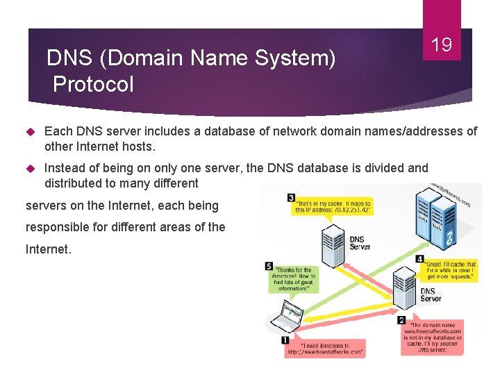 DNS (Domain Name System) Protocol 19 Each DNS server includes a database of network