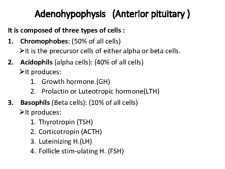 Adenohypophysis (Anterior pituitary ) It is composed of three types of cells : 1.