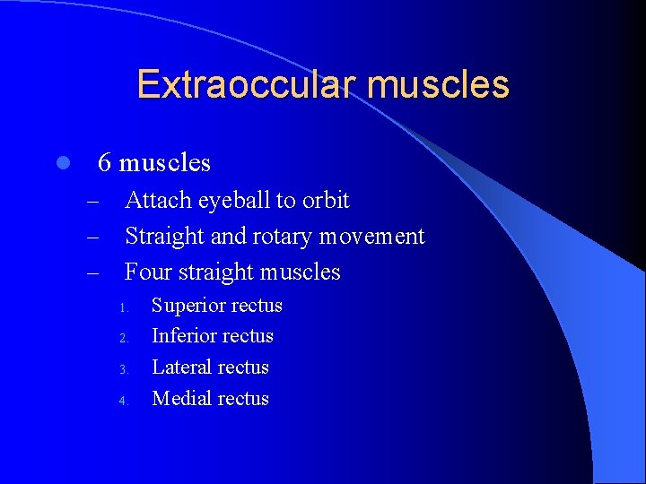 Extraoccular muscles l 6 muscles – – – Attach eyeball to orbit Straight and