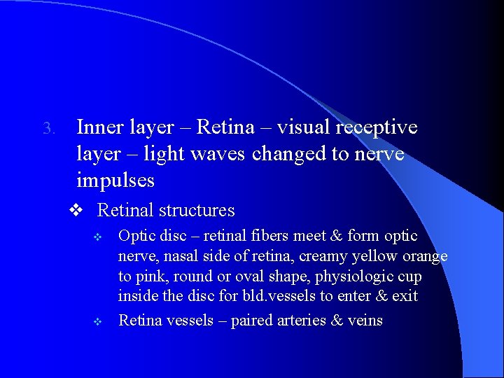 3. Inner layer – Retina – visual receptive layer – light waves changed to