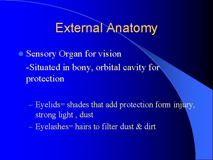External Anatomy l Sensory Organ for vision -Situated in bony, orbital cavity for protection
