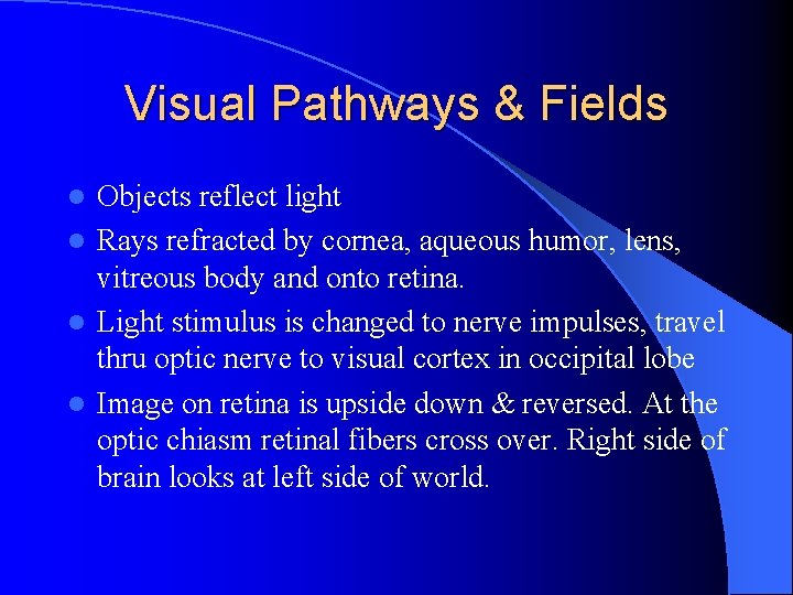 Visual Pathways & Fields Objects reflect light l Rays refracted by cornea, aqueous humor,