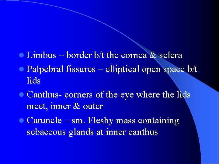 l Limbus – border b/t the cornea & sclera l Palpebral fissures – elliptical