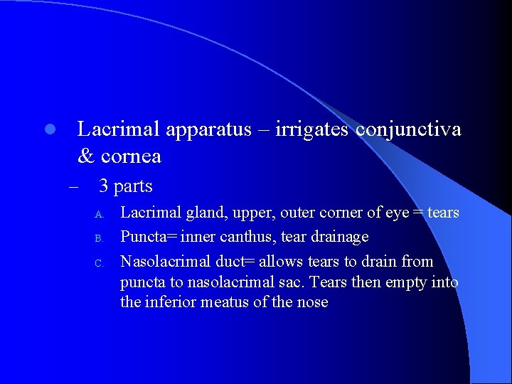 l Lacrimal apparatus – irrigates conjunctiva & cornea – 3 parts A. B. C.