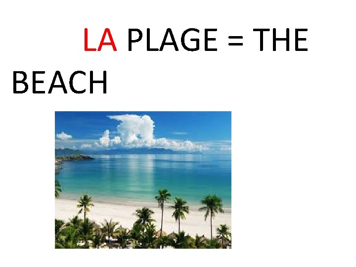 LA PLAGE = THE BEACH 