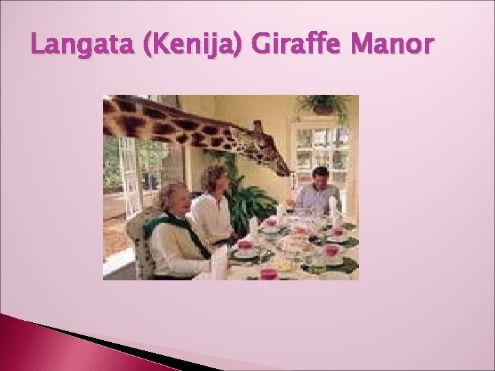 Langata (Kenija) Giraffe Manor 