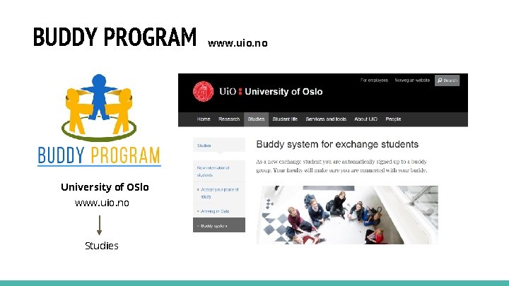 BUDDY PROGRAM University of OSlo www. uio. no Studies www. uio. no 