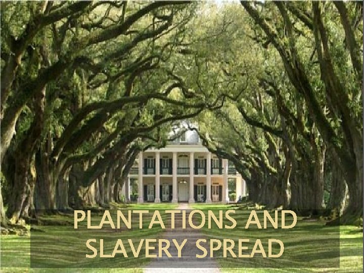 PLANTATIONS AND SLAVERY SPREAD 