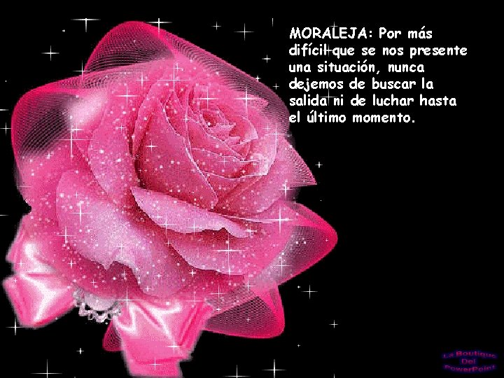 MORALEJA: Por más difícil que se nos presente una situación, nunca dejemos de buscar