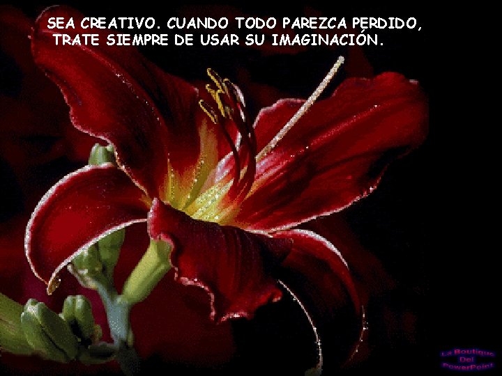 SEA CREATIVO. CUANDO TODO PAREZCA PERDIDO, TRATE SIEMPRE DE USAR SU IMAGINACIÓN. 