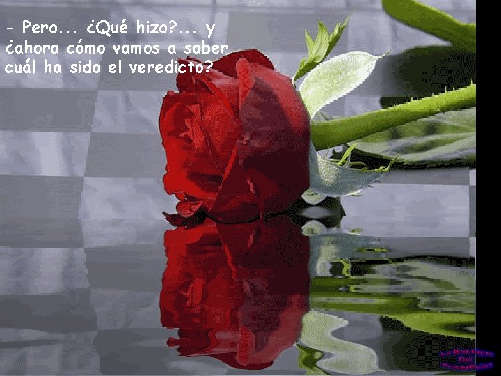 - Pero. . . ¿Qué hizo? . . . y ¿ahora cómo vamos a