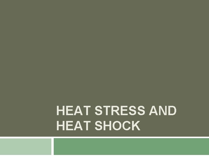 HEAT STRESS AND HEAT SHOCK 