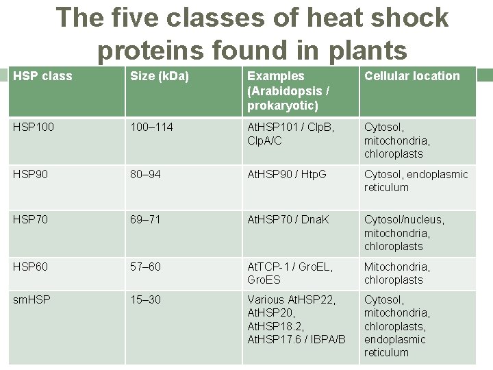 The five classes of heat shock proteins found in plants HSP class Size (k.