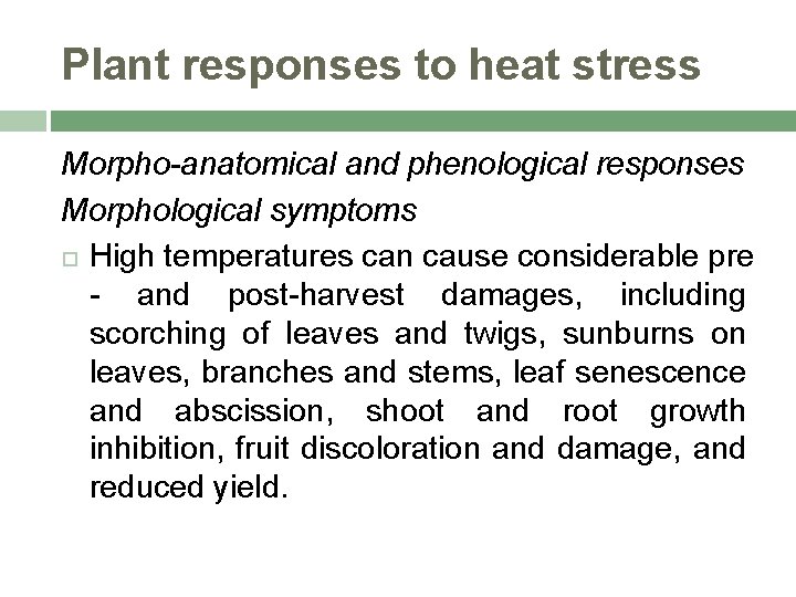 Plant responses to heat stress Morpho-anatomical and phenological responses Morphological symptoms High temperatures can