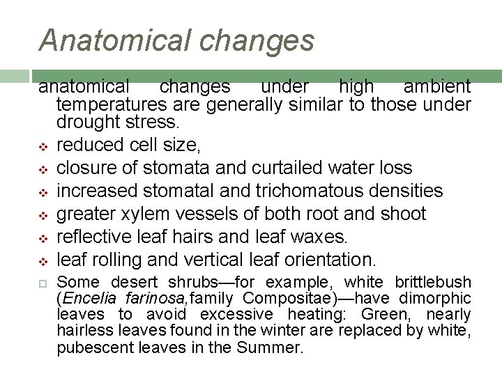Anatomical changes anatomical changes under high ambient temperatures are generally similar to those under
