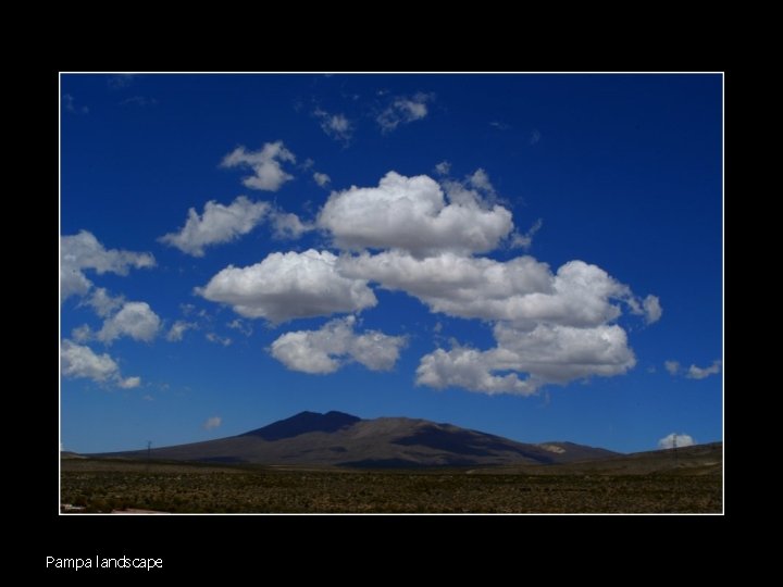Pampa landscape 