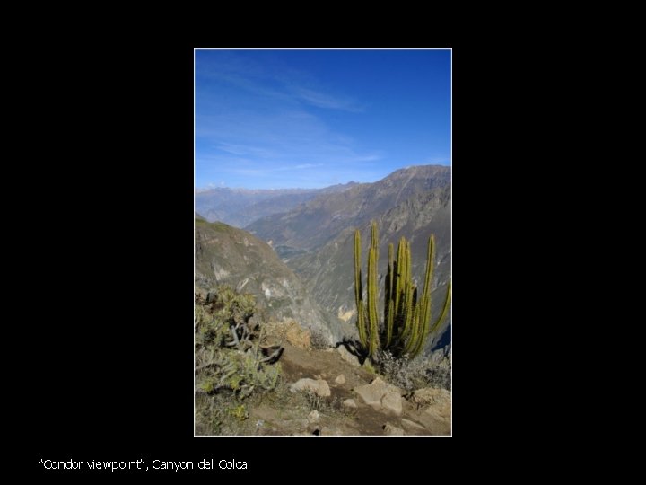 “Condor viewpoint”, Canyon del Colca 