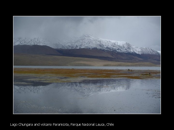 Lago Chungara and volcano Paranicota, Parque Nacional Lauca, Chile 