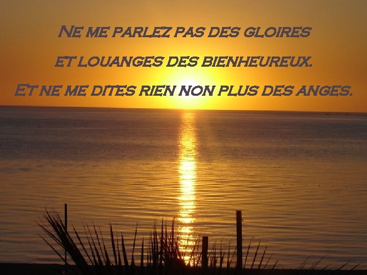 Ne me parlez pas des gloires et louanges des bienheureux. Et ne me dites