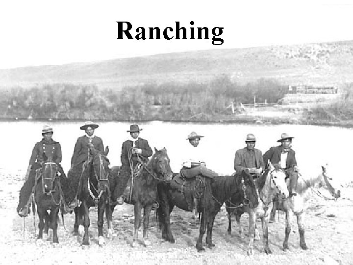 Ranching 