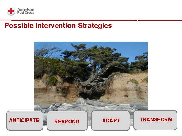 Intervntion strategies Possible Intervention Strategies ANTICIPATE RESPOND ADAPT TRANSFORM 