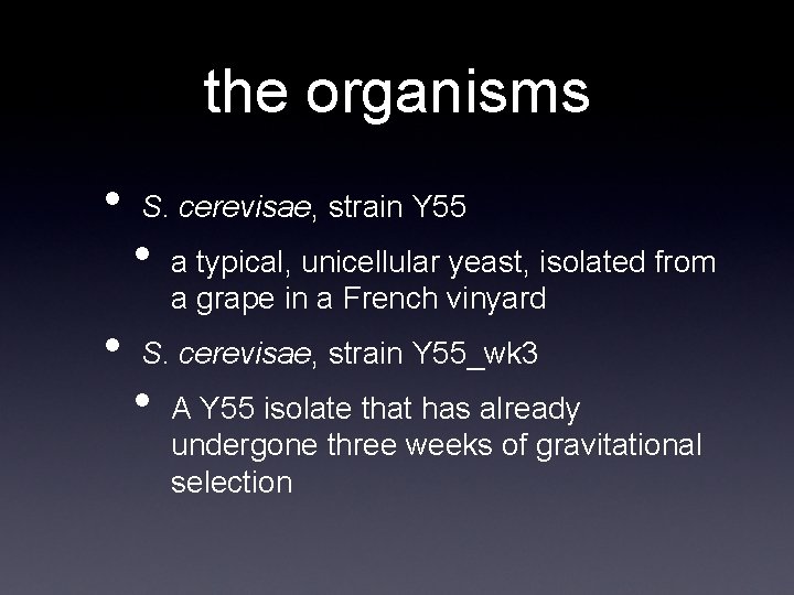 the organisms • • S. cerevisae, strain Y 55 • a typical, unicellular yeast,