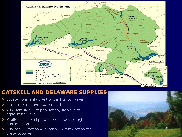 CATSKILL AND DELAWARE SUPPLIES Ø Located primarily West of the Hudson River Ø Rural,