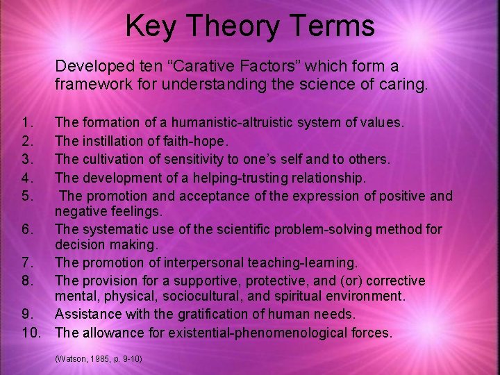 Key Theory Terms Developed ten “Carative Factors” which form a framework for understanding the
