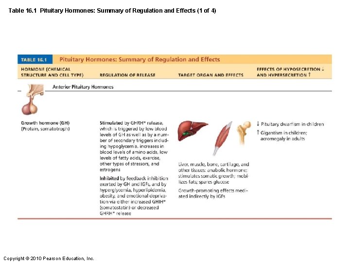 Table 16. 1 Pituitary Hormones: Summary of Regulation and Effects (1 of 4) Copyright