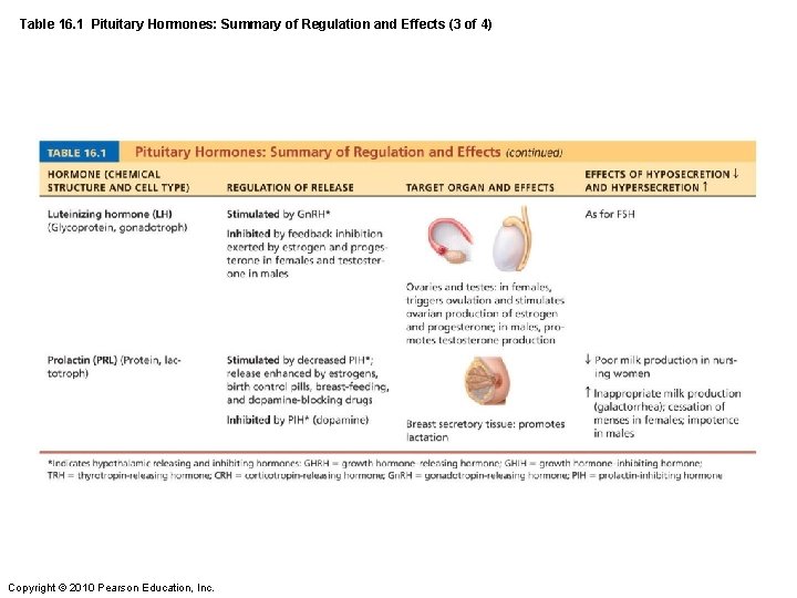 Table 16. 1 Pituitary Hormones: Summary of Regulation and Effects (3 of 4) Copyright