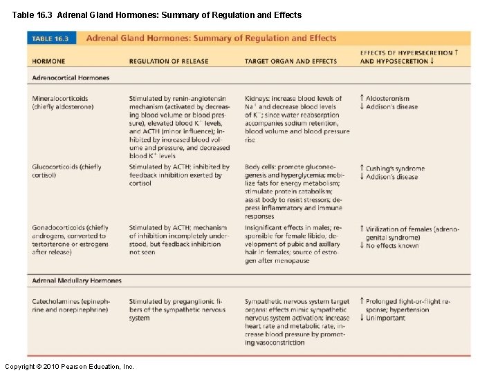 Table 16. 3 Adrenal Gland Hormones: Summary of Regulation and Effects Copyright © 2010