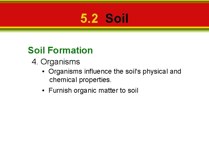 5. 2 Soil Formation 4. Organisms • Organisms influence the soil's physical and chemical