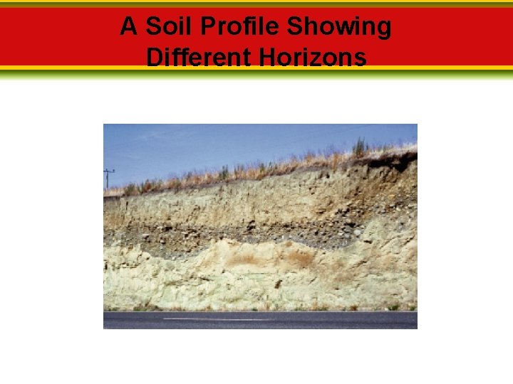 A Soil Profile Showing Different Horizons 
