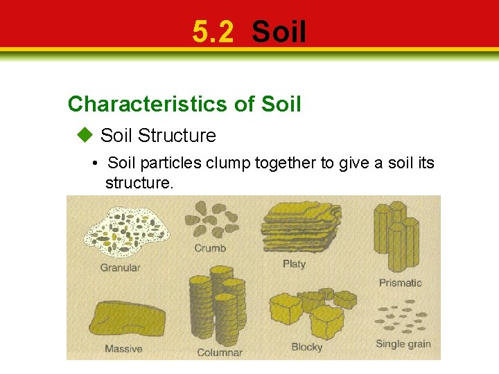5. 2 Soil Characteristics of Soil Structure • Soil particles clump together to give