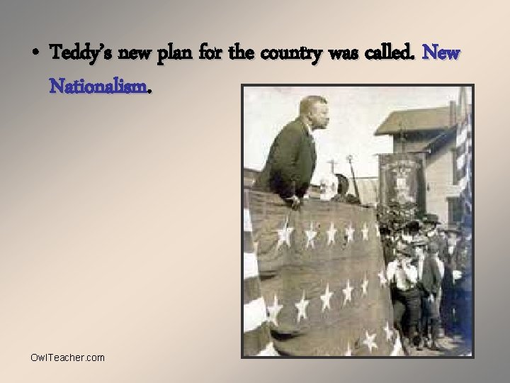  • Teddy’s new plan for the country was called. New Nationalism. Owl. Teacher.