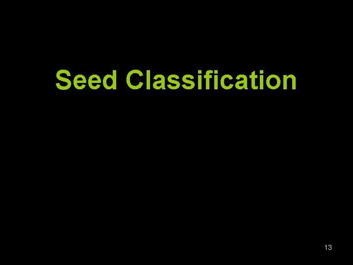 Seed Classification 13 
