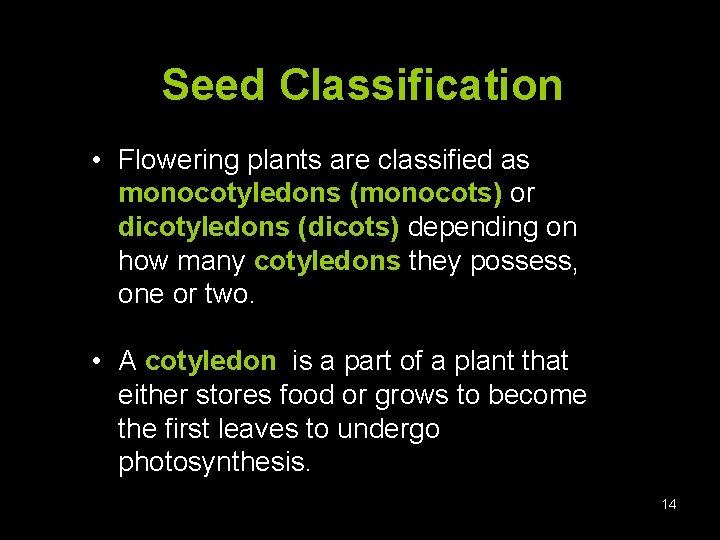 Seed Classification • Flowering plants are classified as monocotyledons (monocots) or dicotyledons (dicots) depending
