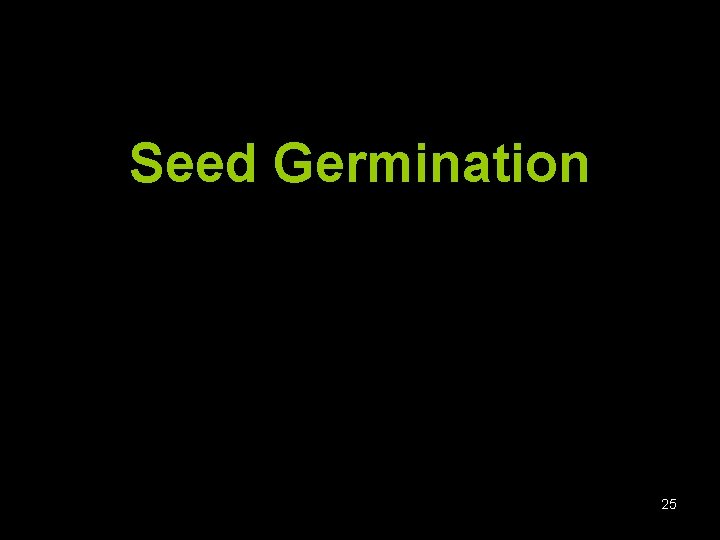 Seed Germination 25 