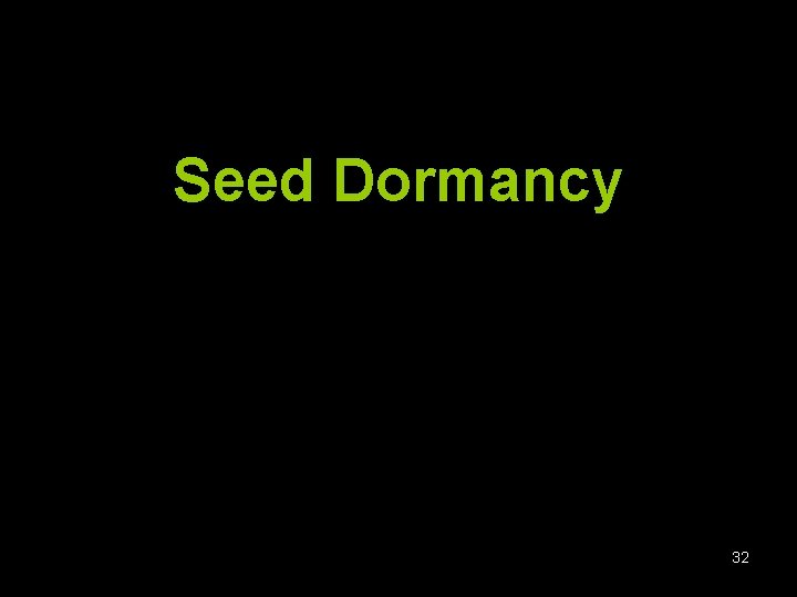 Seed Dormancy 32 