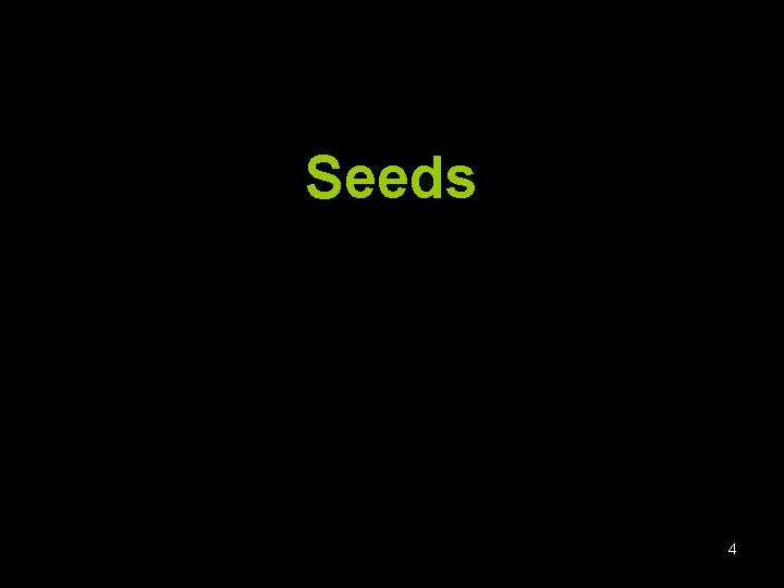 Seeds 4 