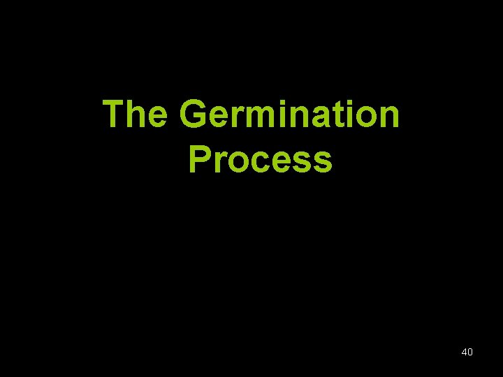 The Germination Process 40 