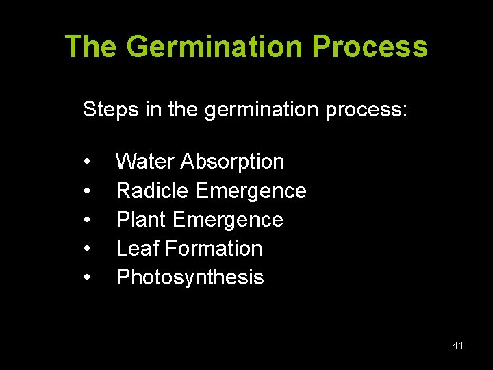 The Germination Process Steps in the germination process: • • • Water Absorption Radicle