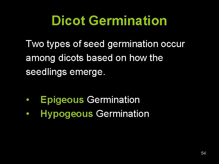 Dicot Germination Two types of seed germination occur among dicots based on how the